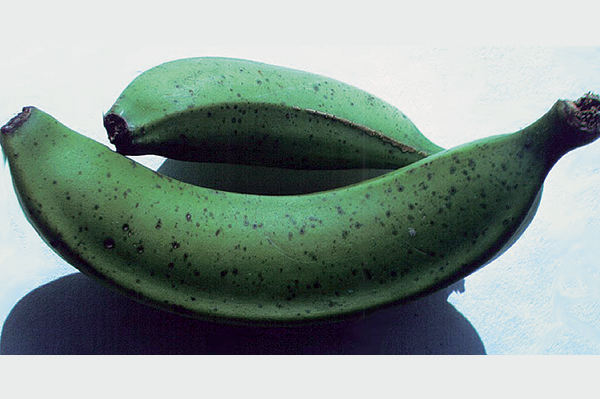 Symptoms of Deightoniella spot on Cavendish fruit © Department of Primary Industries