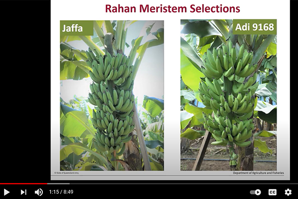 Missed the roadshows? Recordings of the variety presentations are now available...