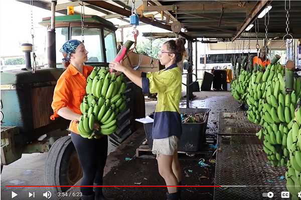 Missed the roadshows? Recordings of the variety presentations are now available...