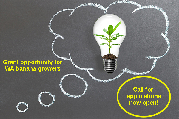 Call for WA grant applications now open!