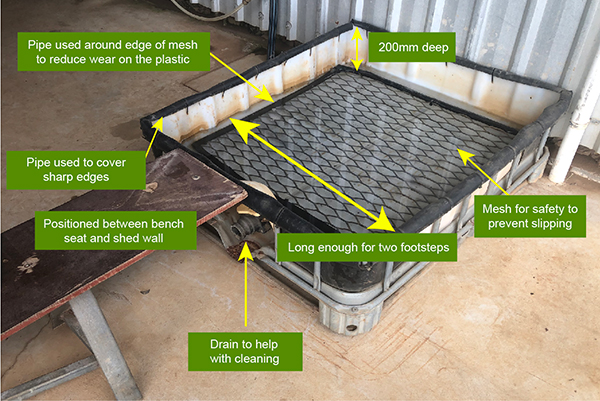Grower case study. Reinventing the pod into a footbath.