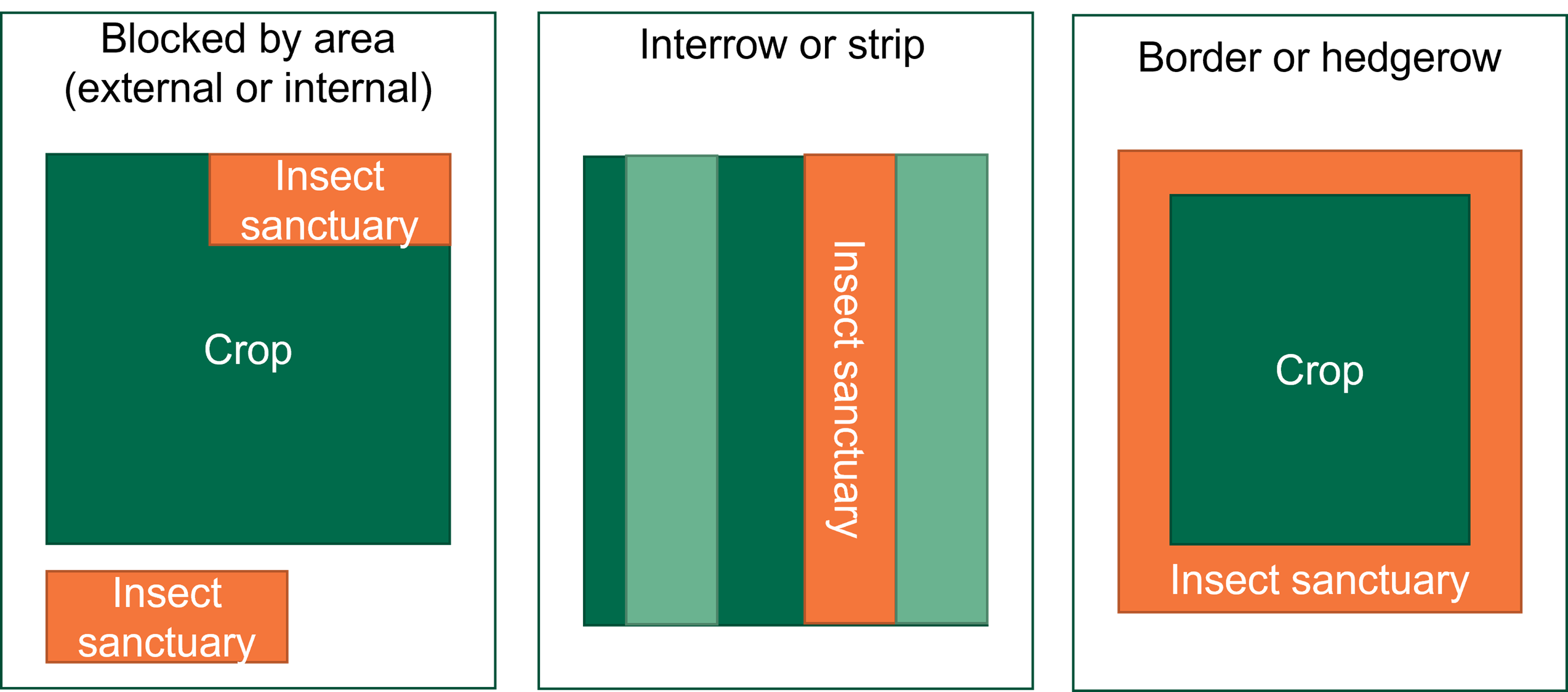 Insect Sanctuaries For Beneficial Predators And Parasites Better Bananas