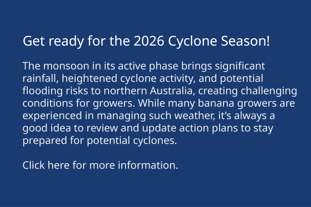 Preparing for cyclones