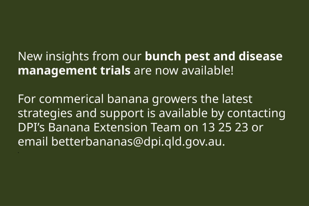 Bunch pest and disease management information