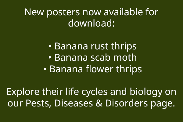 Download posters!